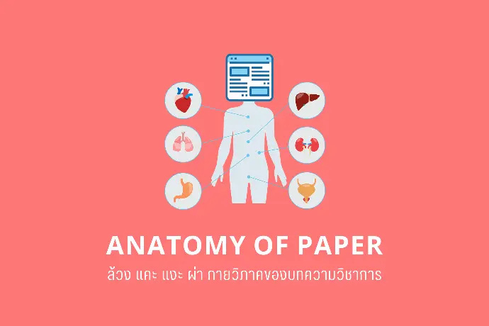 Anatomy of Paper