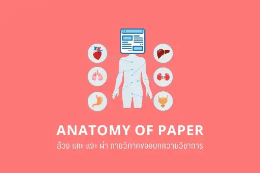 Anatomy of Paper